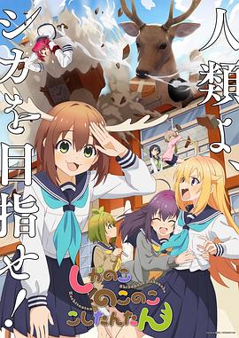 爱无对立